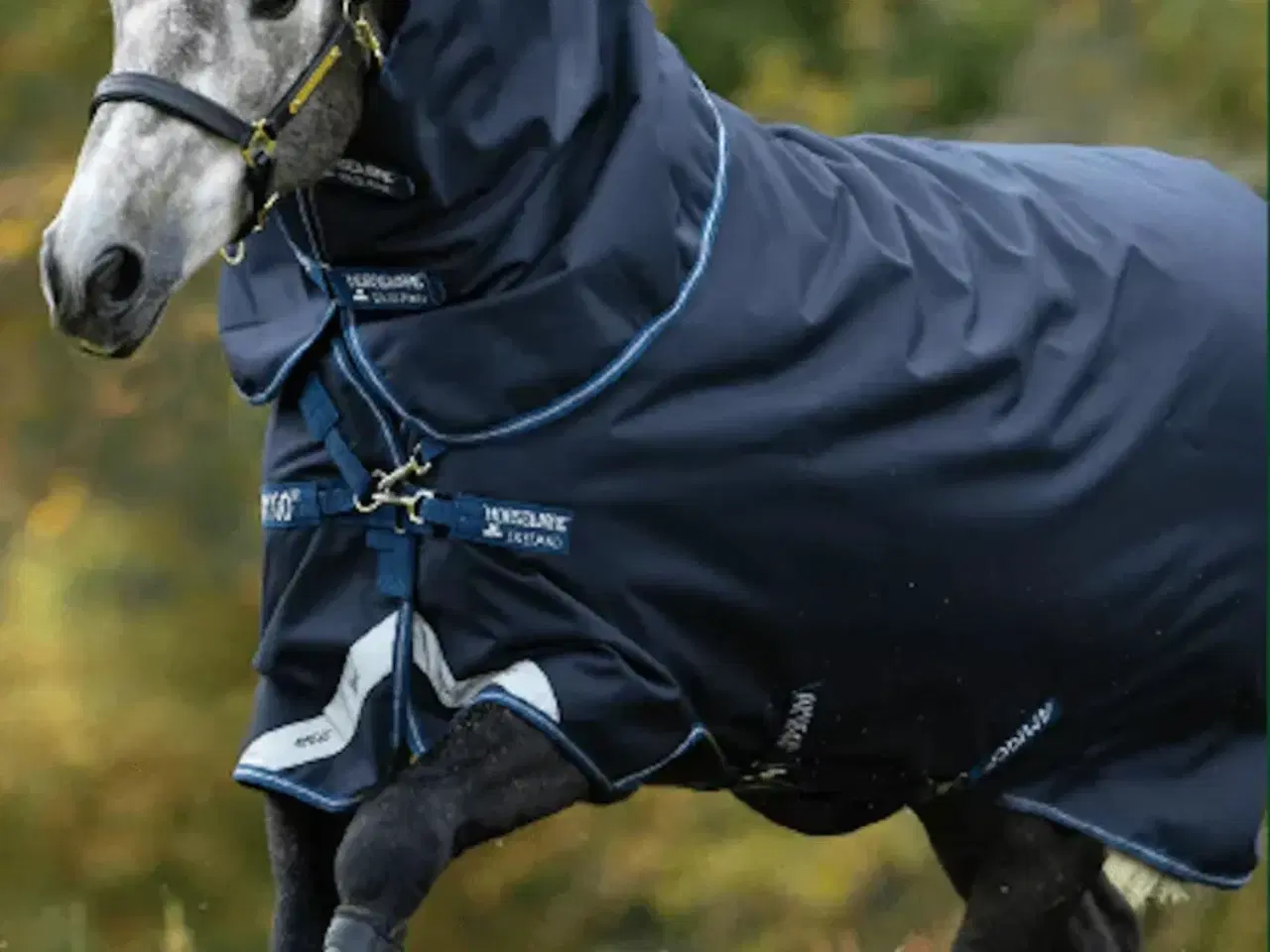 Billede 1 - Amigo bravo 12 tripple plus 50g inkl hals str 160