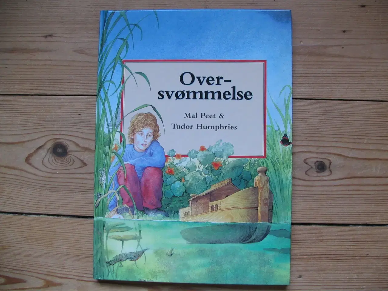 Billede 1 - Oversvømmelse