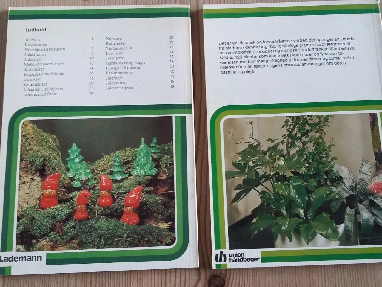 Billede 2 - bog med jul og planter