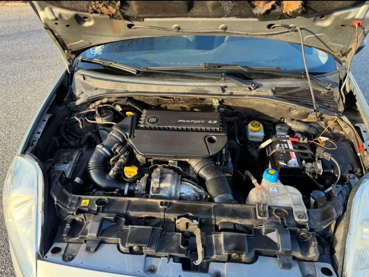 Billede 10 - Velkørende økoslæde