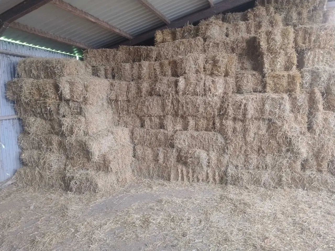 Billede 1 - Frisk byghalm fra 2025. Morten Korch størrelse 