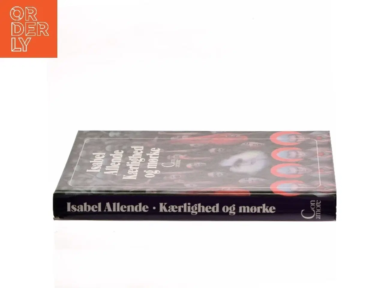 Billede 2 - Kærlighed og mørke af Isabel Allende (Bog)