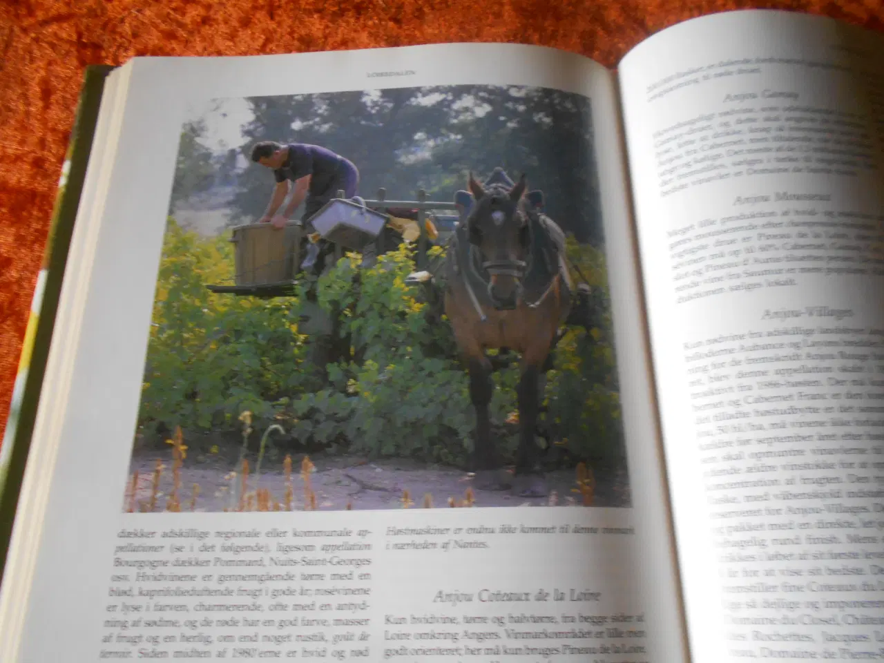 Billede 2 - Bogen om de franske vine, Steven Spurrier,