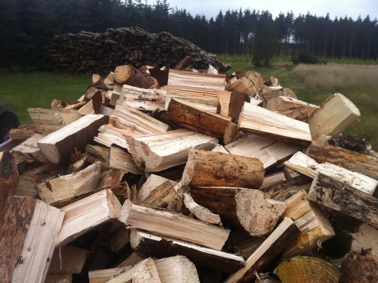 Billede 6 - Brænde 