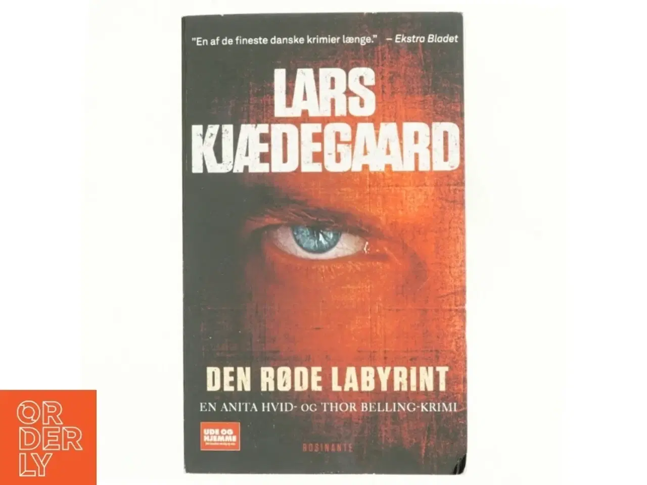Billede 1 - Den røde labyrint af Lars Kjædegaard (Bog)