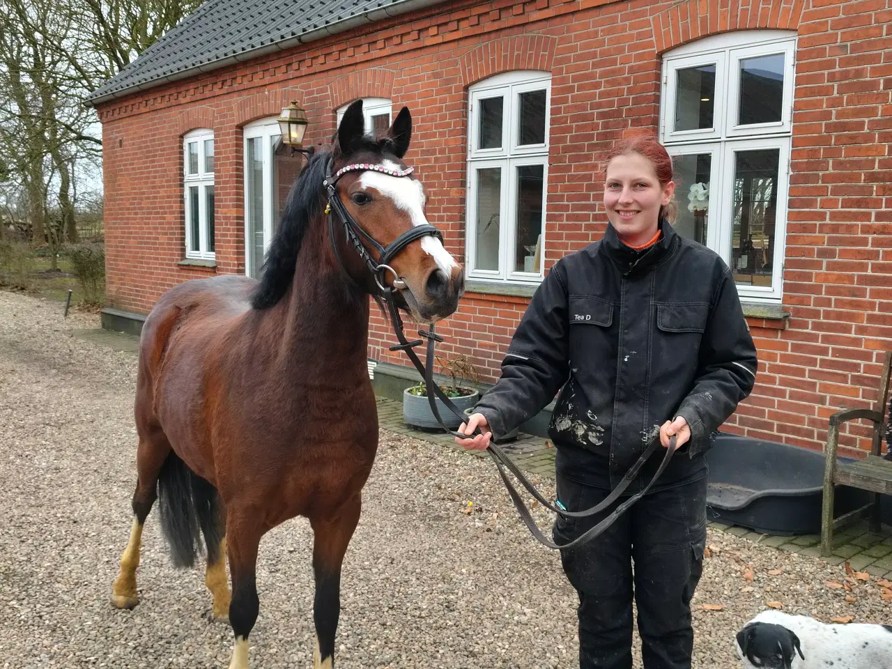 Billede 1 - Meget smuk 3'er pony