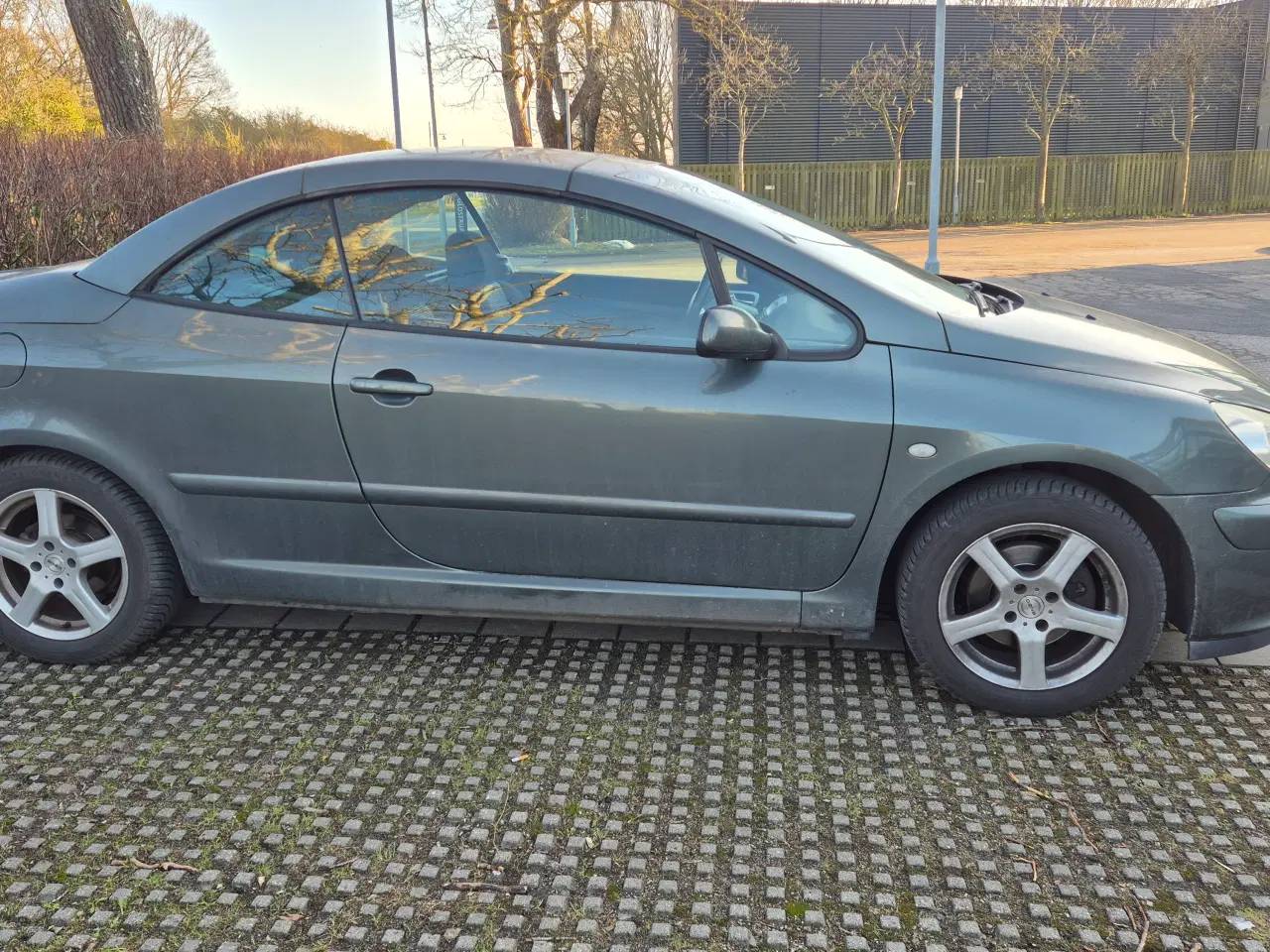 Billede 10 - Peugeot 307 cabriolet 