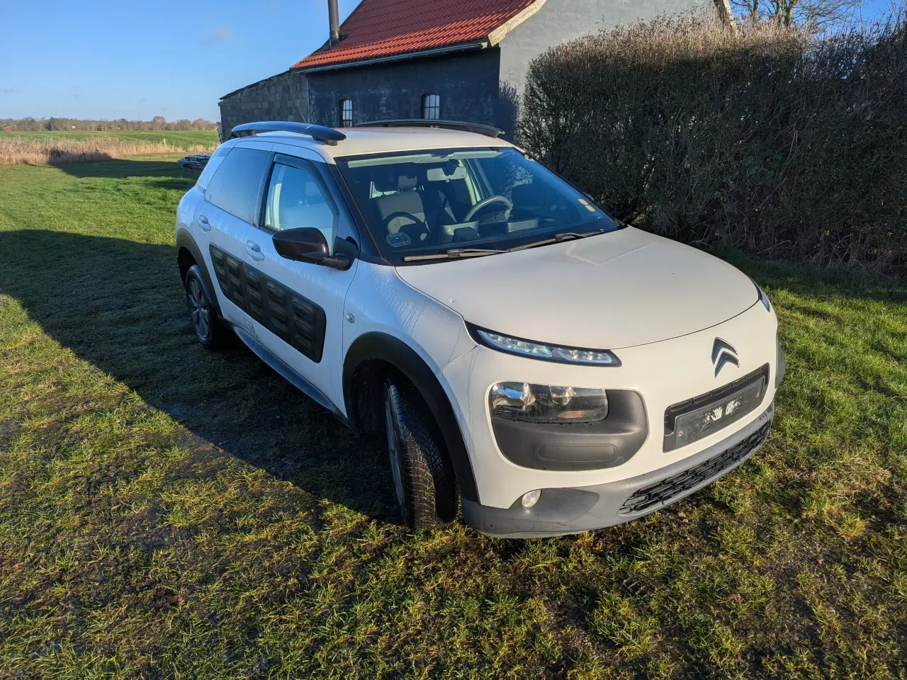 Billede 2 - Citroën Cactus Van
