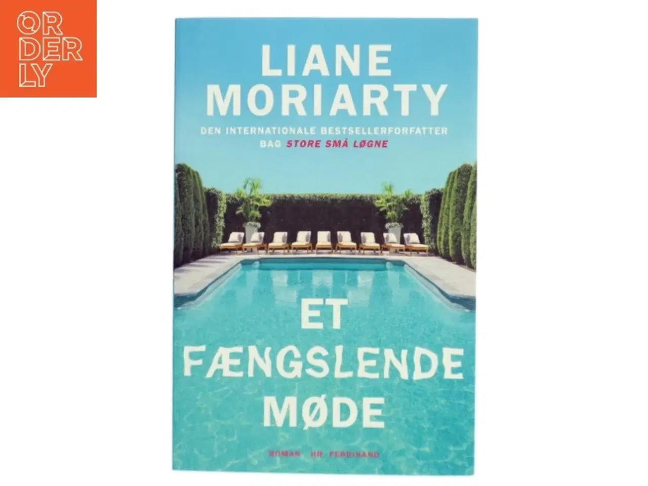 Billede 1 - Et fængslende møde : roman af Liane Moriarty (Bog)