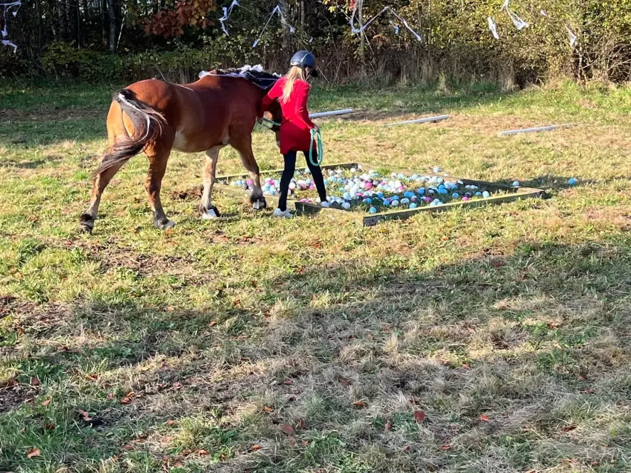 Billede 5 - Part eller Udlån 