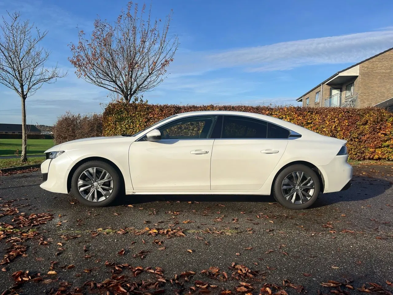 Billede 8 - Peugeot 508 1,5 BlueHDi 130 Allure EAT8