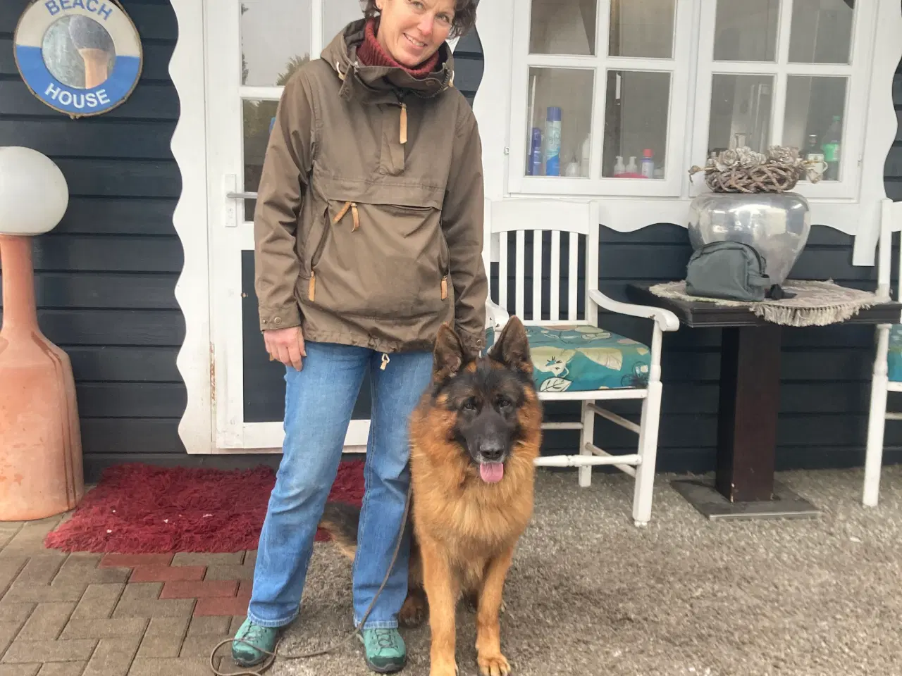 Billede 3 - Schæferhvalpe fra Danmarks ældste kennel  