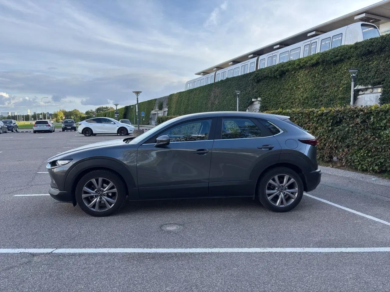 Billede 8 - Mazda CX-30 2,0 SkyActiv-G 122 Sky aut.