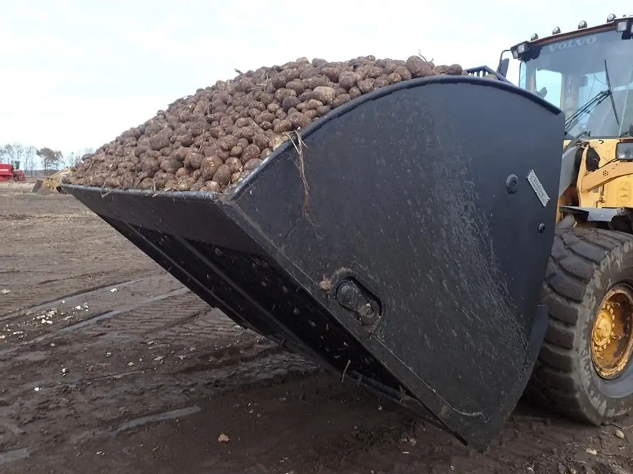 Billede 4 - Staulund Kartoffelskovl HT 6000