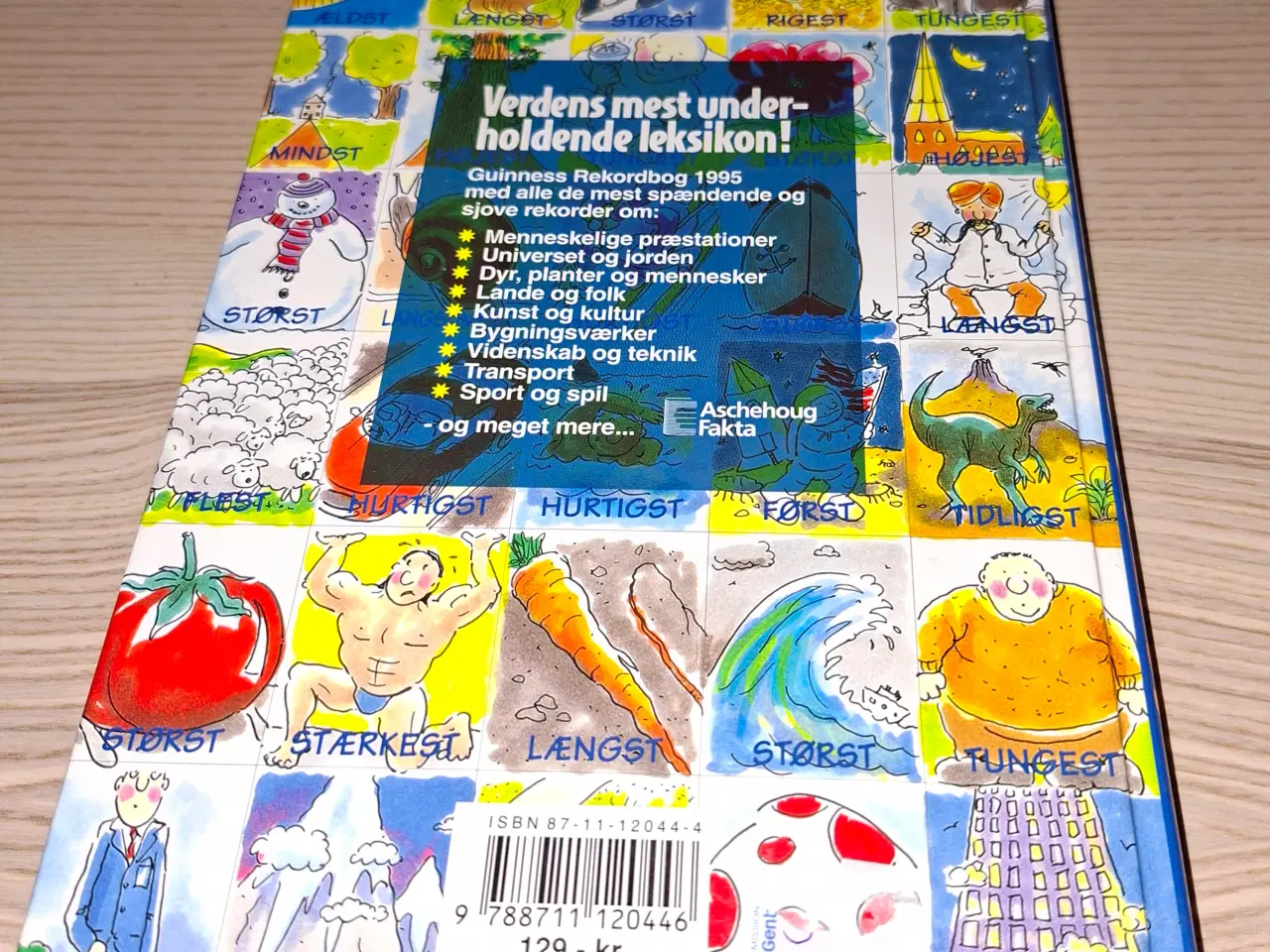 Billede 12 - Børnenes rekordbog 1997