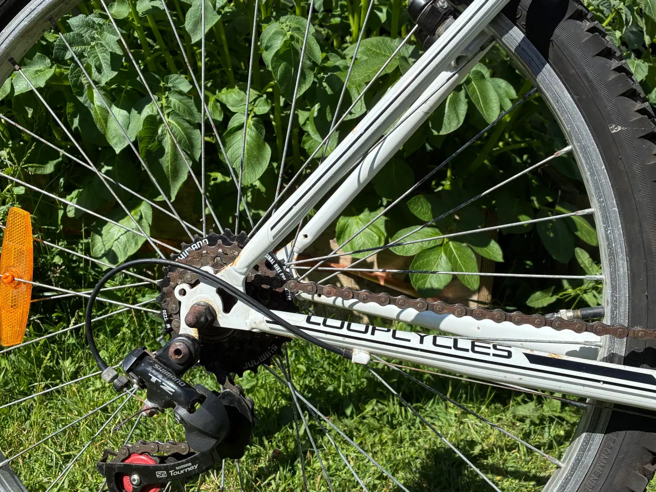 Billede 12 - Loop Mountainbike 26”