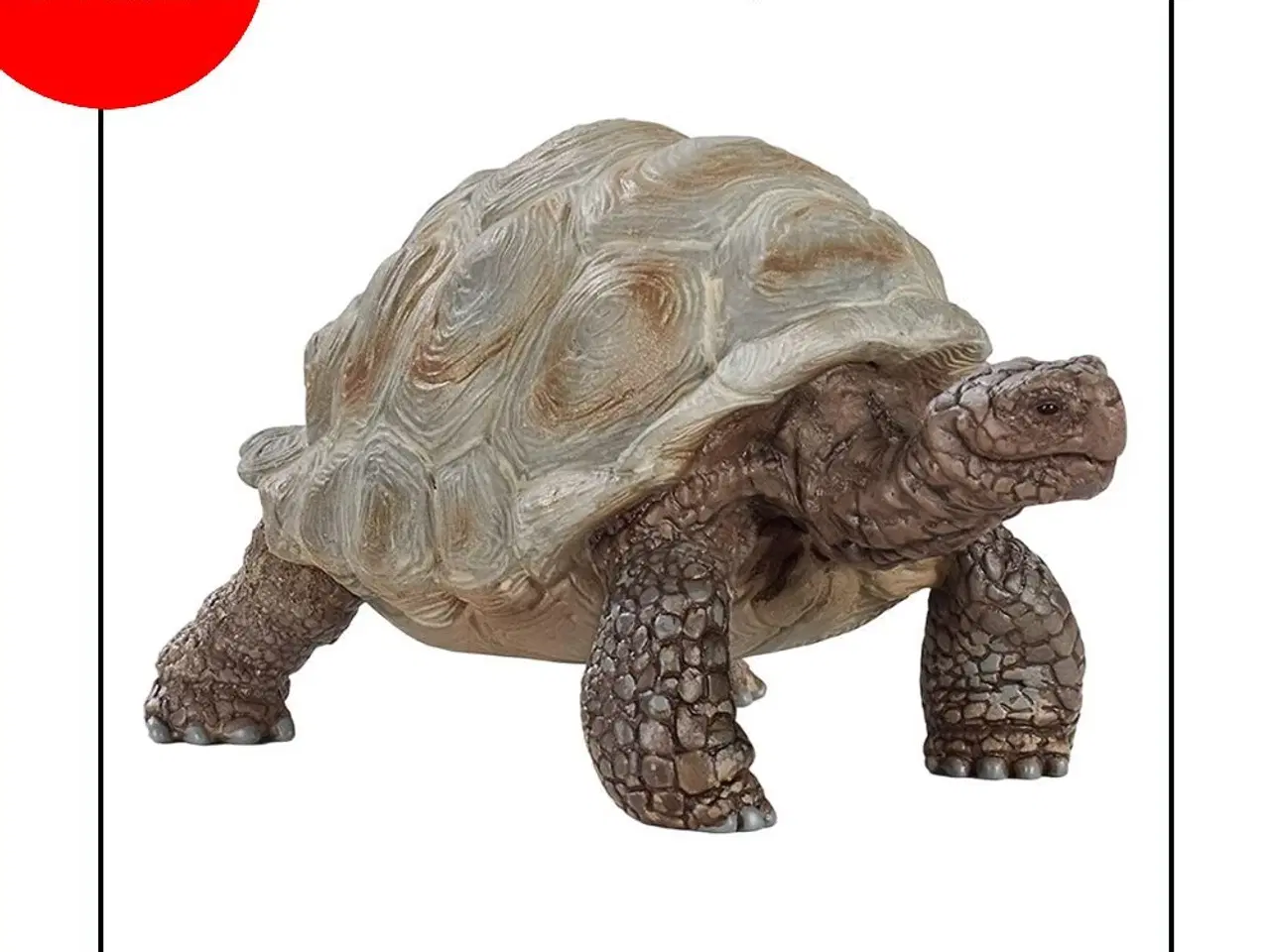 Billede 1 - Schleich 14824 Giant Tortoise (2020)