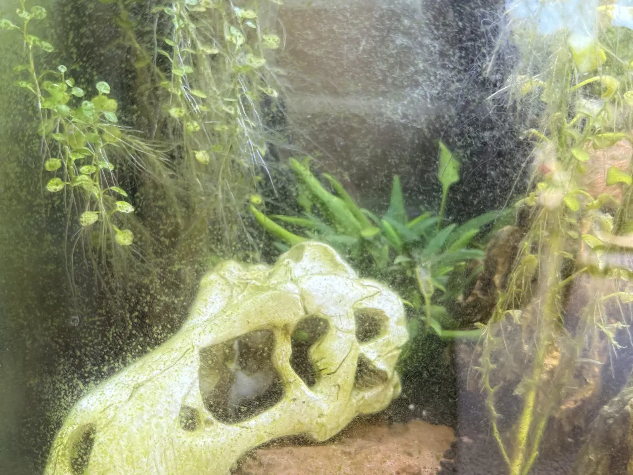 Billede 2 - 40L Superfish akvarie