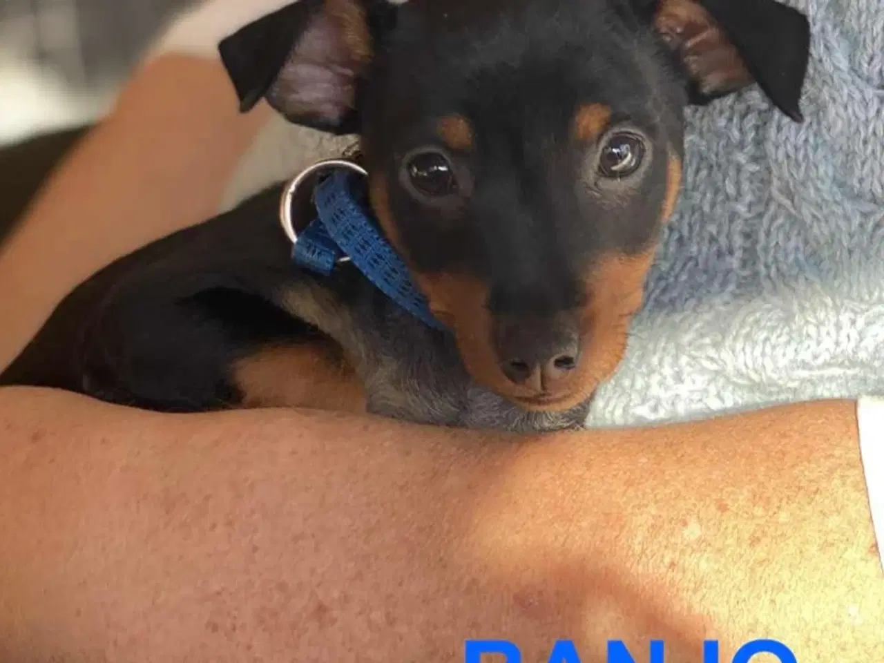 Billede 3 - Tre frække drenge