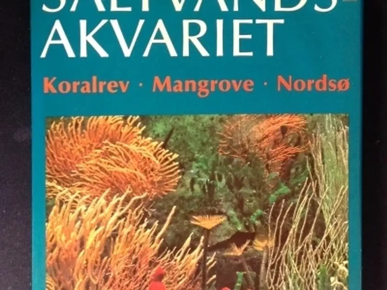 Billede 1 - Meulengracht-Madsen mfl.: Saltvandsakvariet