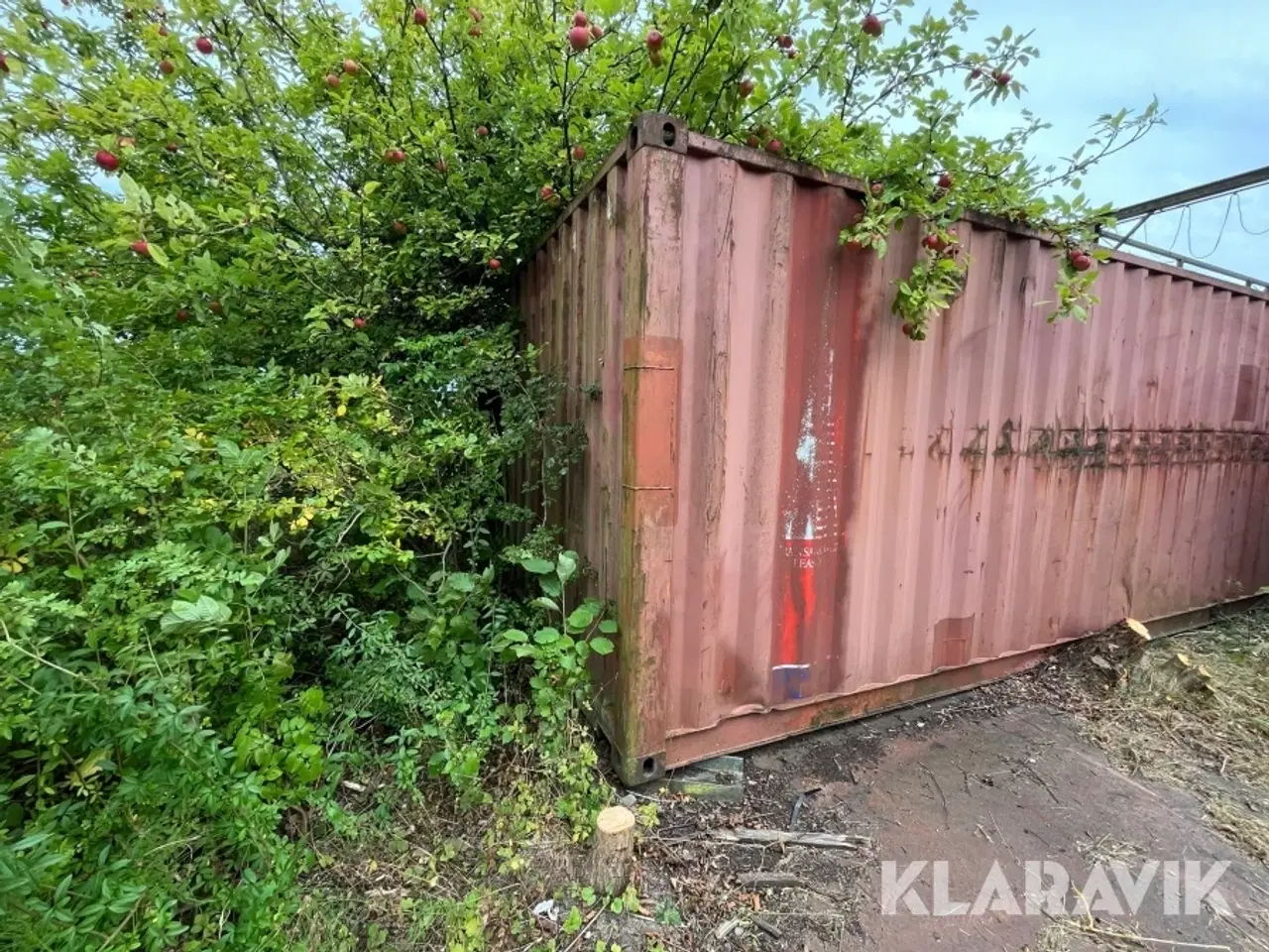 Billede 6 - Container 40 fod