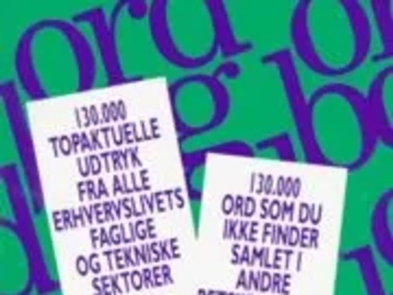 Billede 1 - Erhvervslivets staveordbog