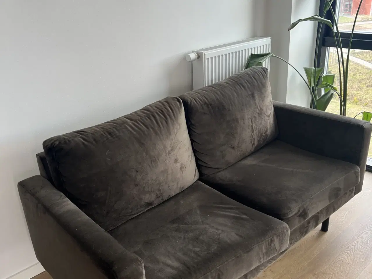 Billede 1 - 2 personers velour sofa
