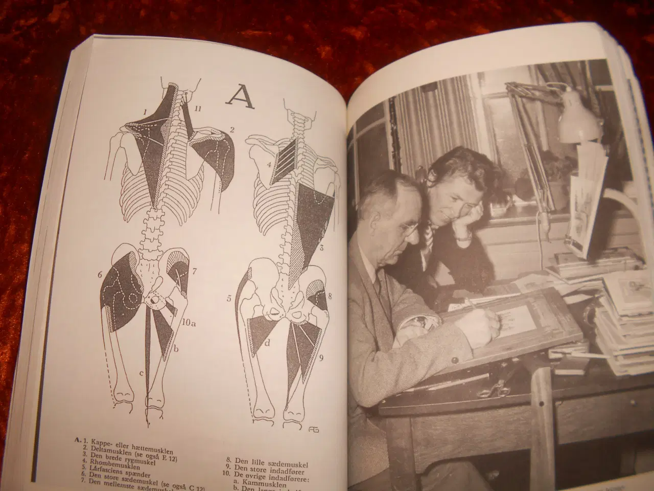 Billede 2 - Mit livs gymnastikhistorie, Helle Gotved,