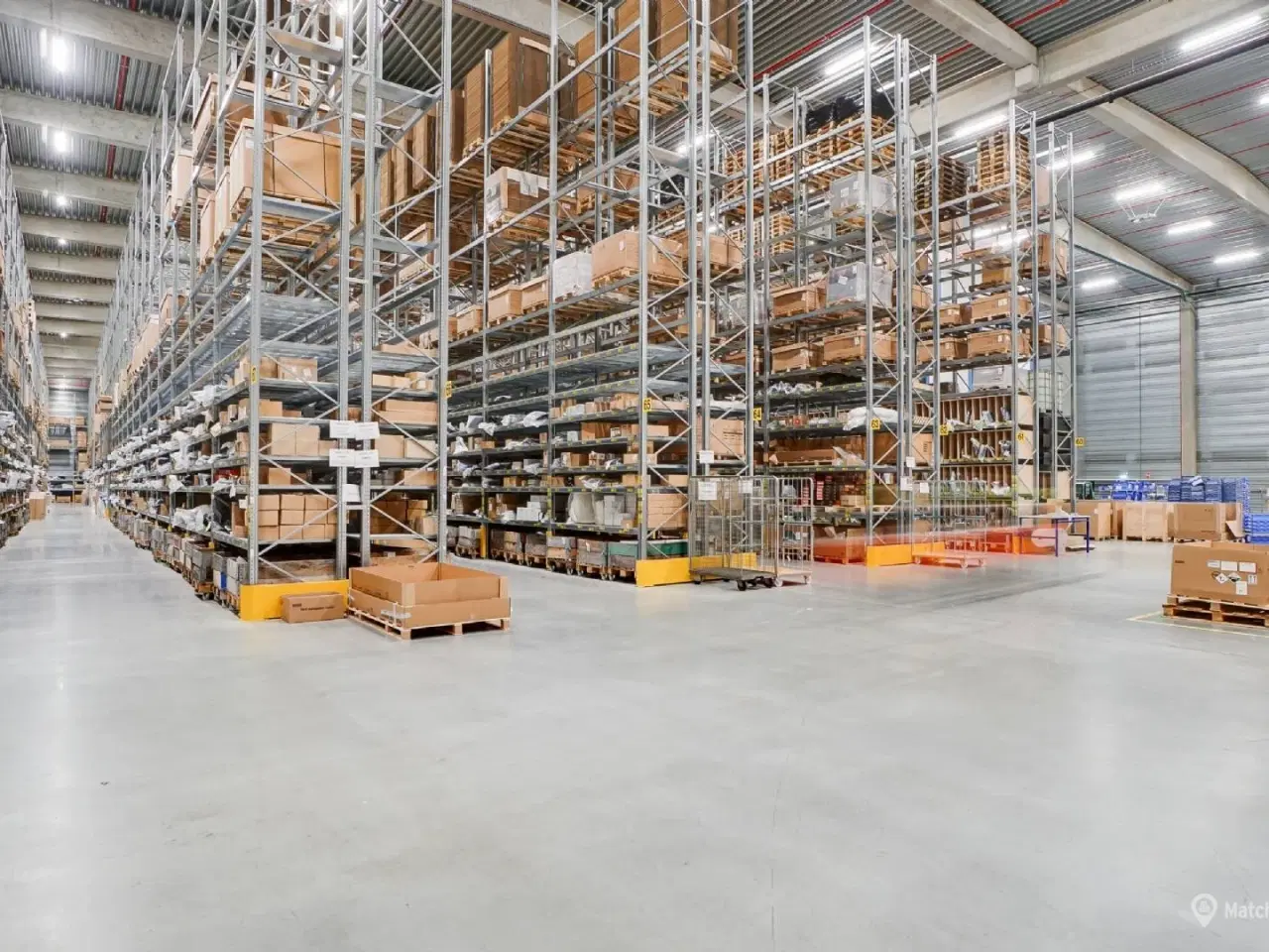 Billede 14 - STORT LAGERLEJEMÅL