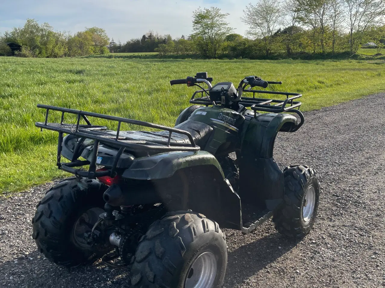 Billede 4 - Atv gepard 150cc