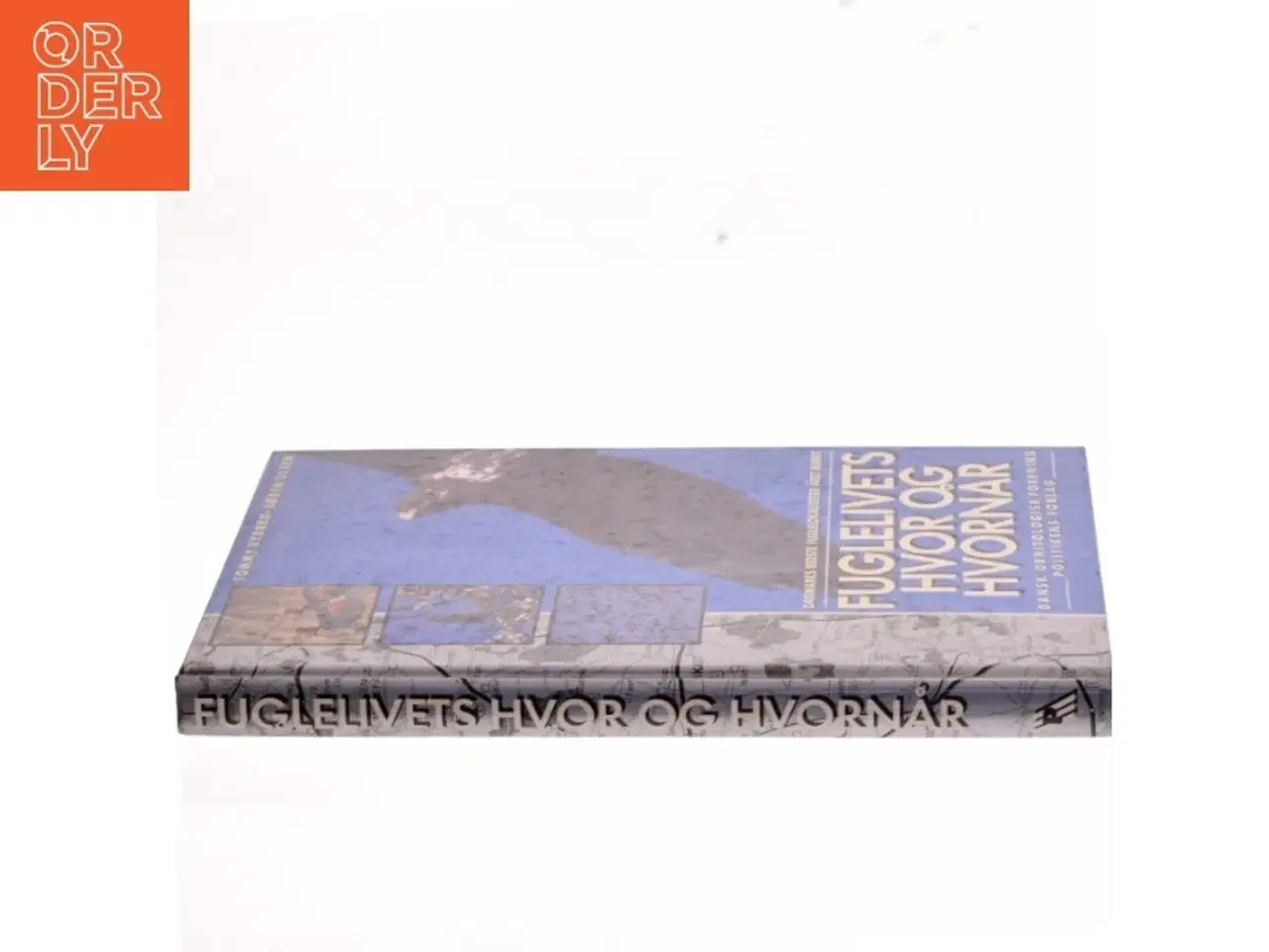 Billede 2 - Fuglelivets hvor & hvornår (Bog)