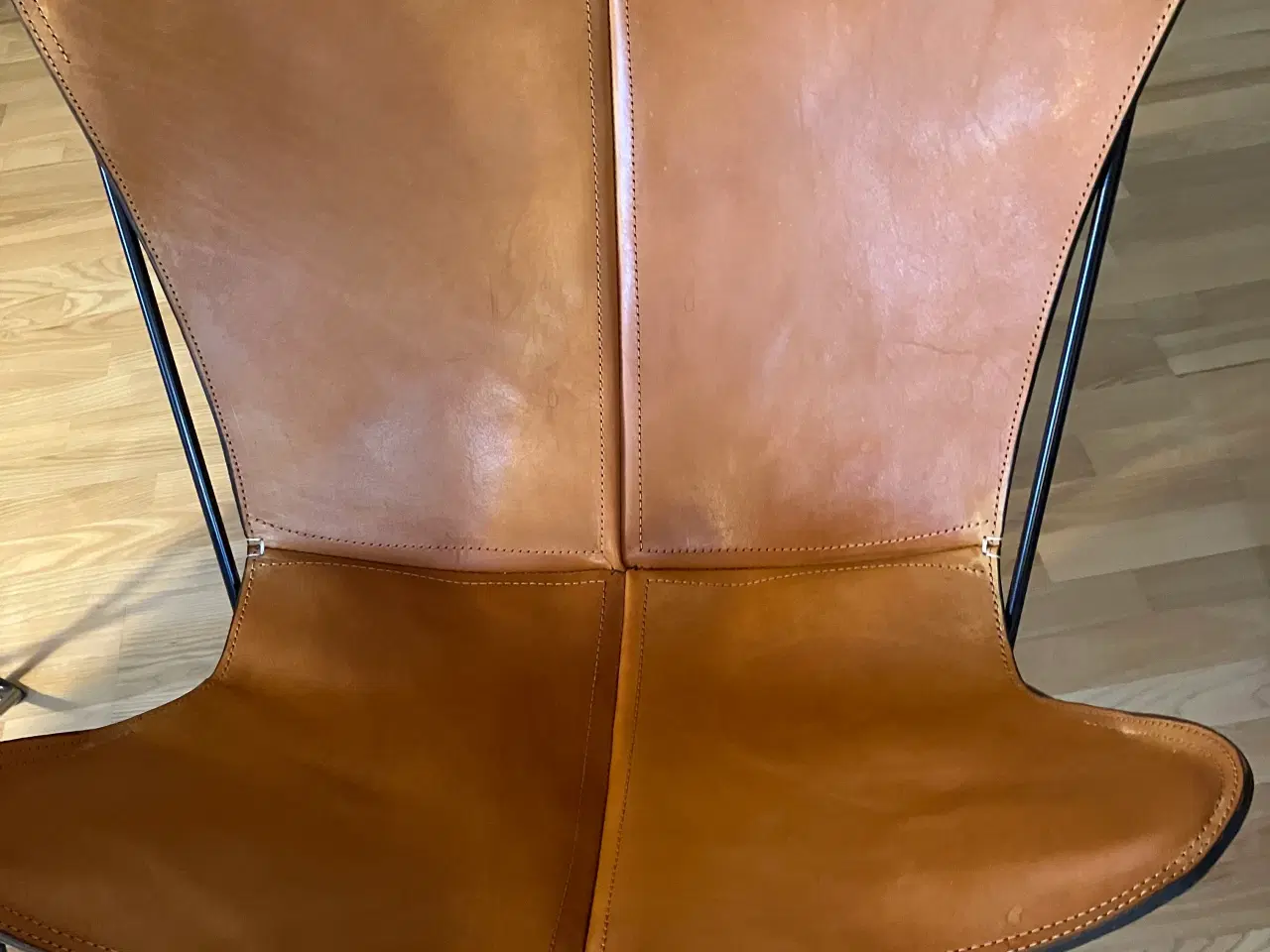 Billede 3 - Flagermusstole 