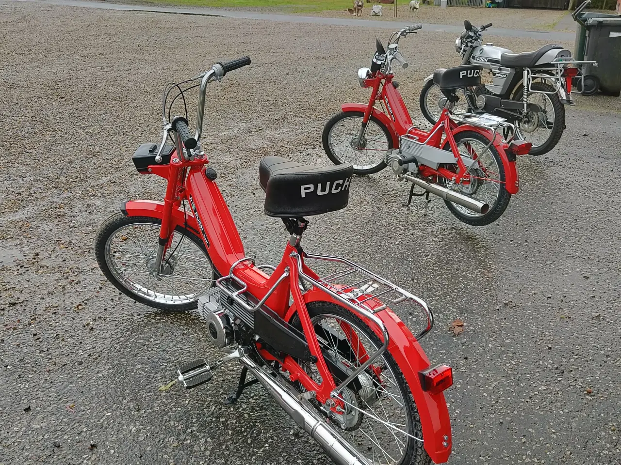 Billede 8 - Puch Maxi knallert