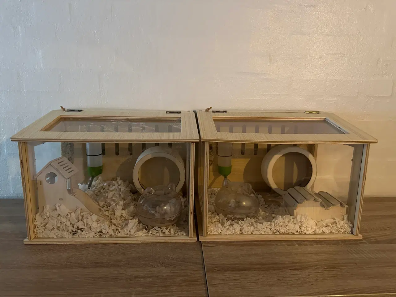 Billede 1 - Vinterhvide hamstere sælges