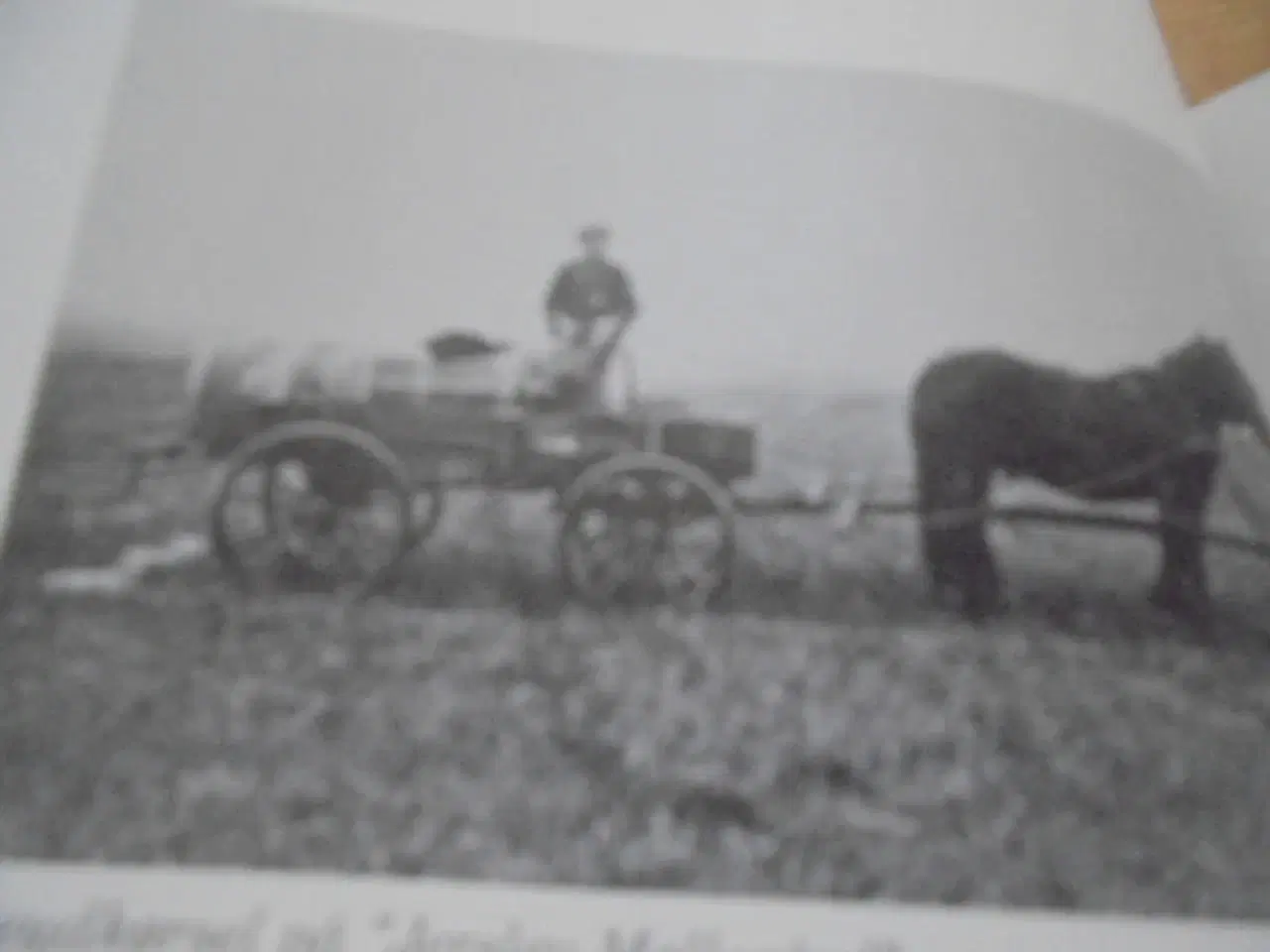 Billede 5 - Farbror Ejners billeder – Ejner Rolighed Larsen