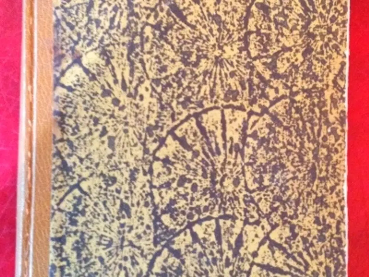 Billede 1 - Frederick Forsyth: Sjakalen