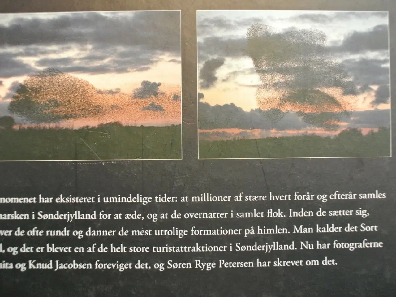 Billede 3 - sort sol, af søren ryge petersen. foto af anita og