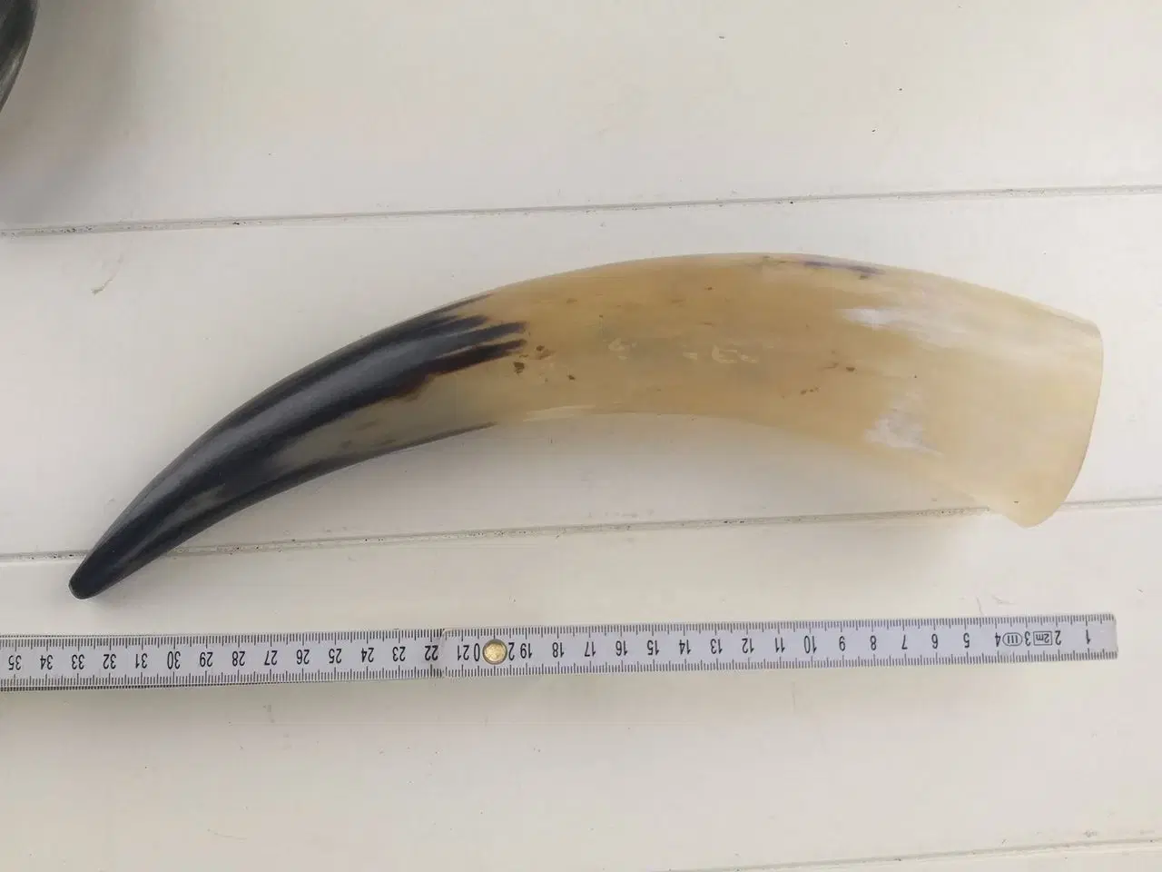 Billede 2 - Flot horn