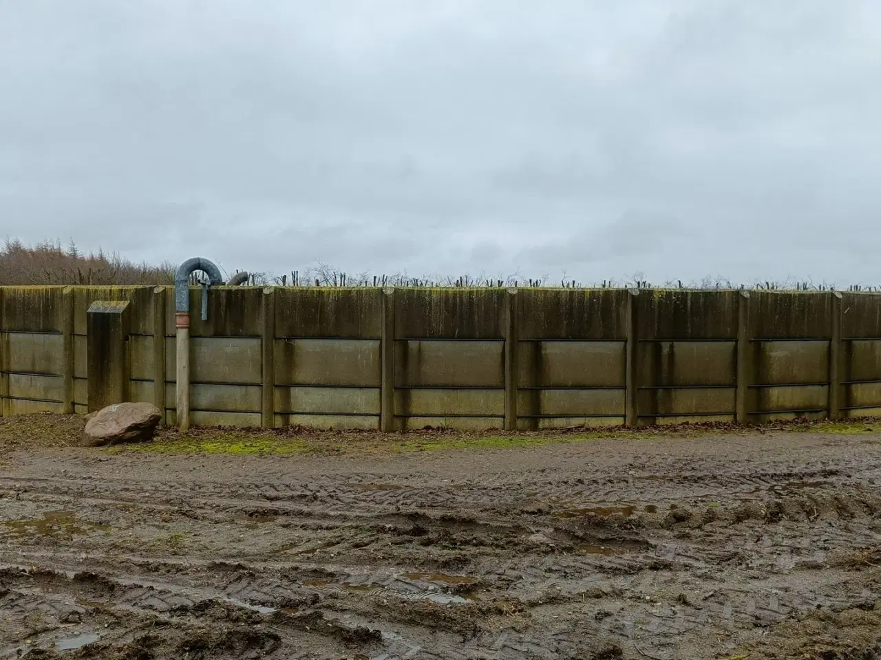 Billede 2 - - - - Gylletank 2000 m3