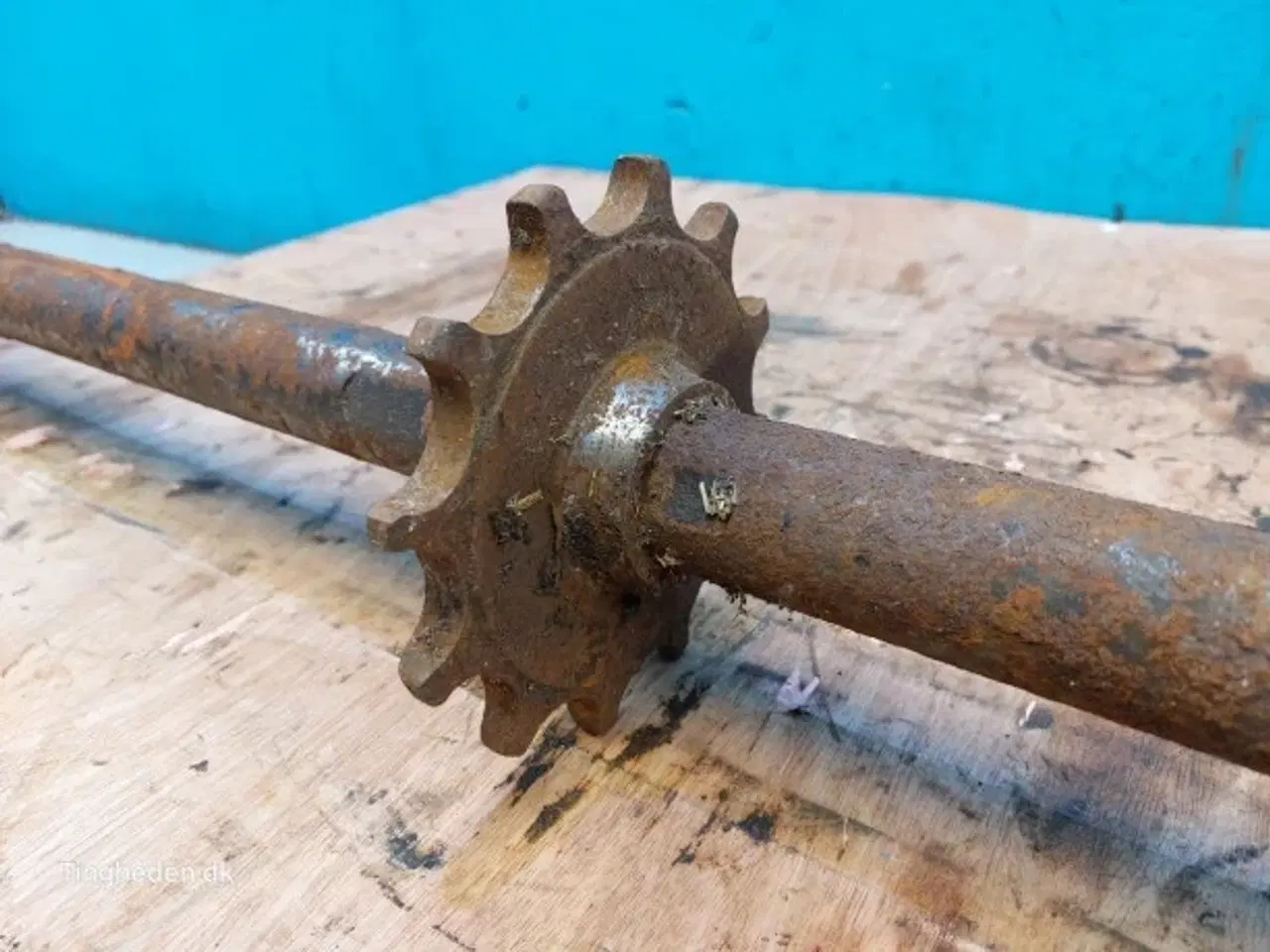 Billede 9 - Massey Ferguson 31 Aksel 28251751