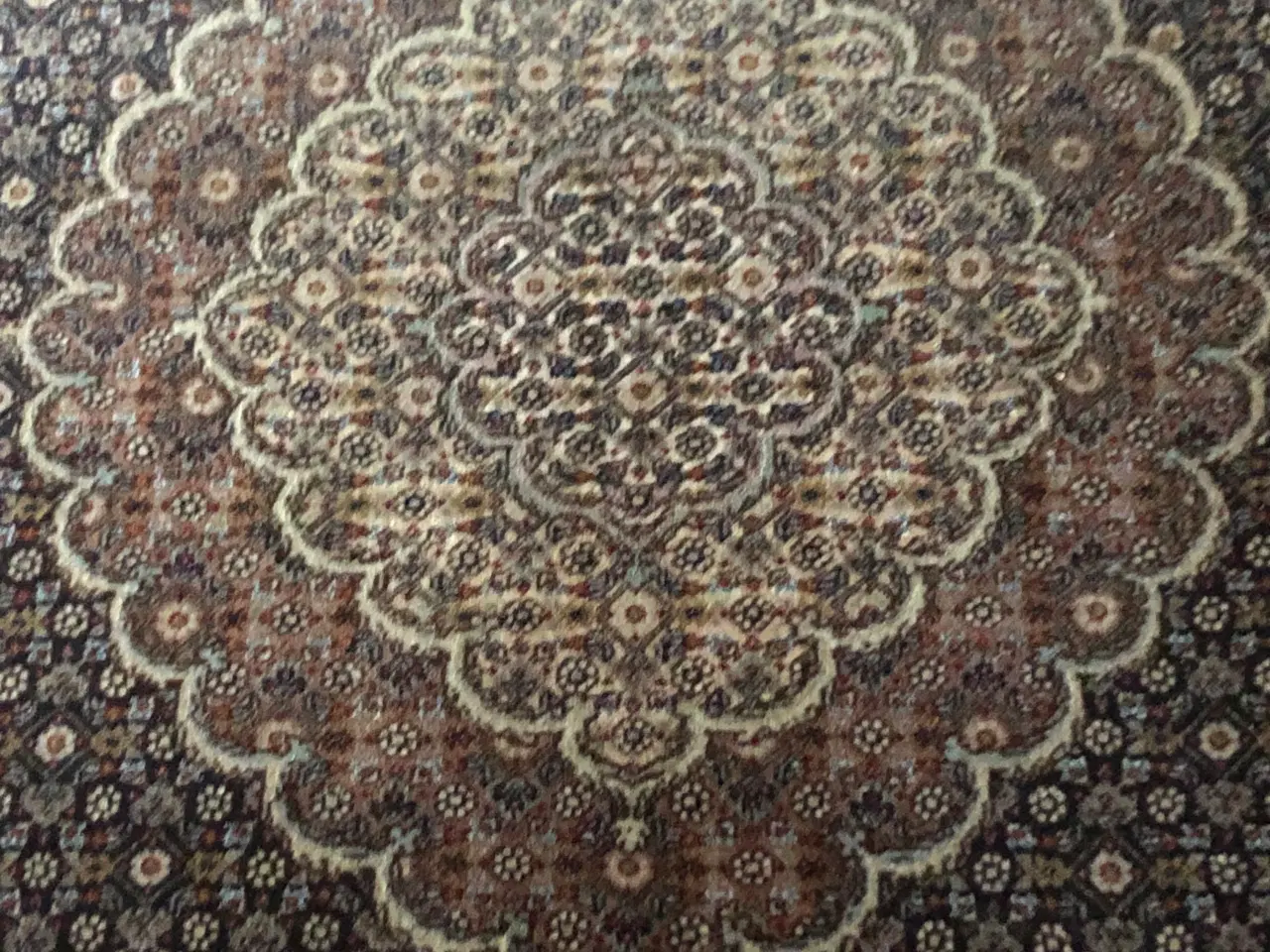 Billede 1 - Ægte tæppe persisk Tabriz 50Mahi
