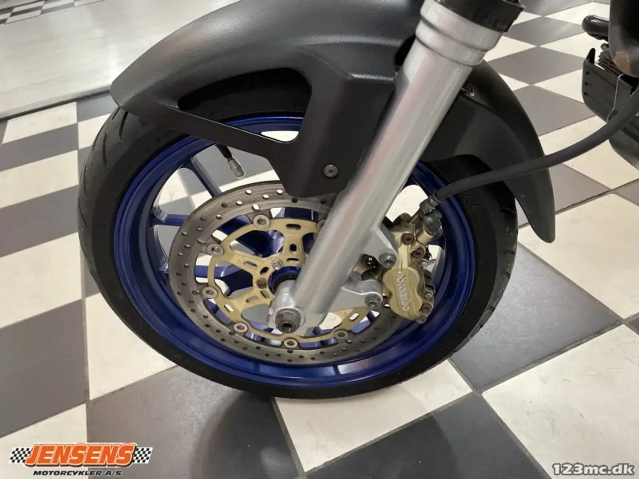 Billede 10 - Aprilia Pegaso 650