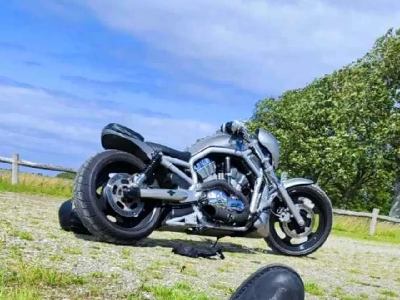 Billede 1 - Harley Davidson v-rod VRSCA 