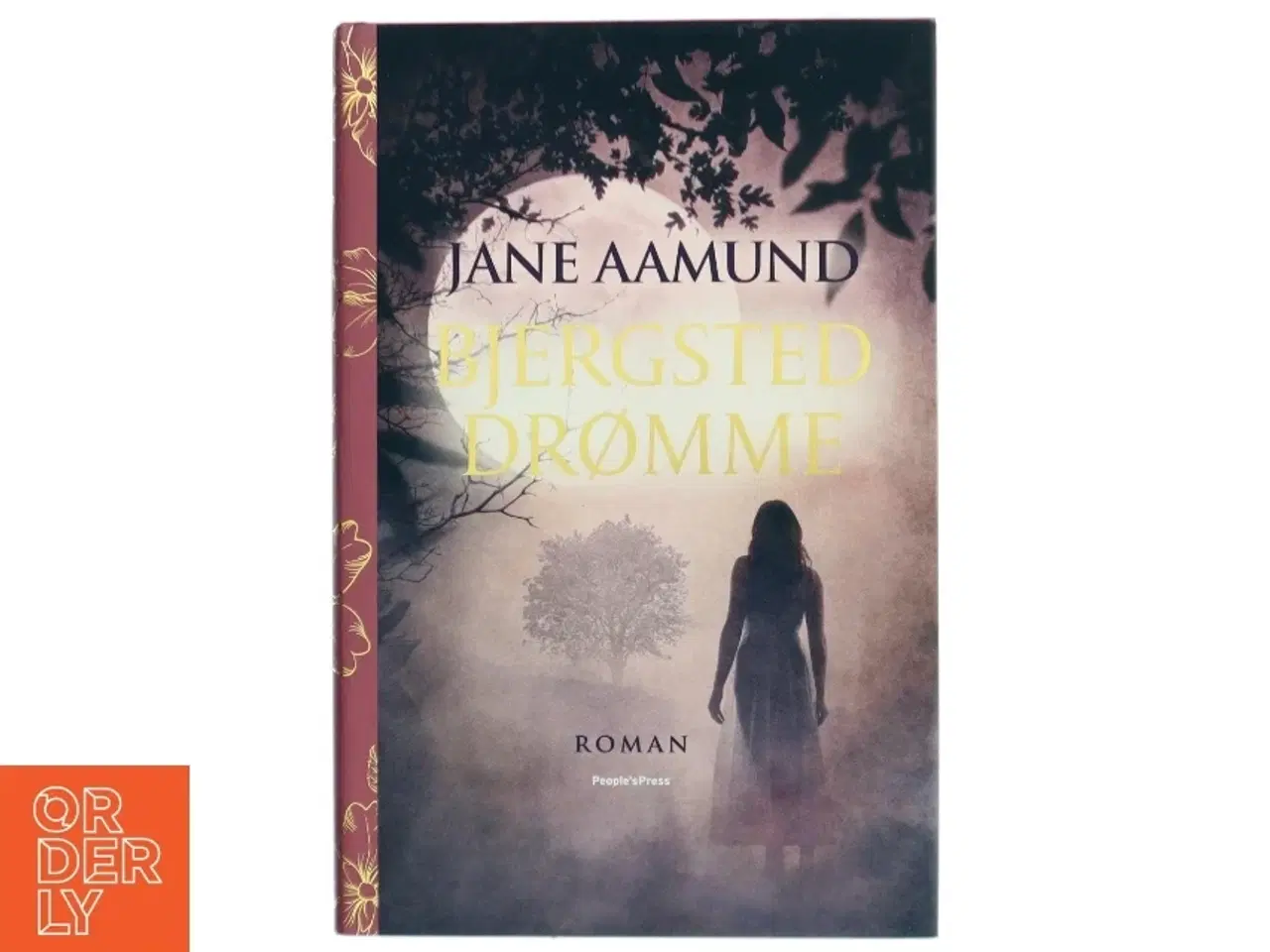 Billede 1 - Bjergsted drømme : roman af Jane Aamund (Bog)