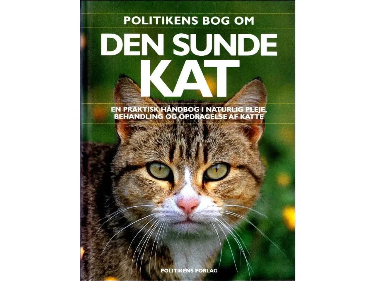 Billede 1 - Politikens Bog om den Sunde Kat