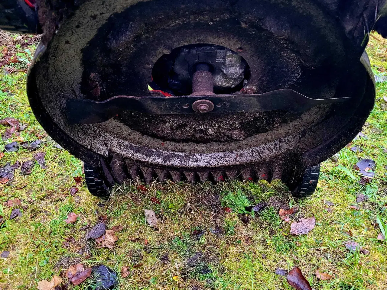 Billede 7 - Klippo plæneklipper sælges