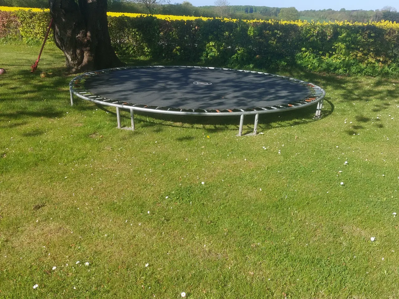 Billede 2 - Trampolin til nedgravning