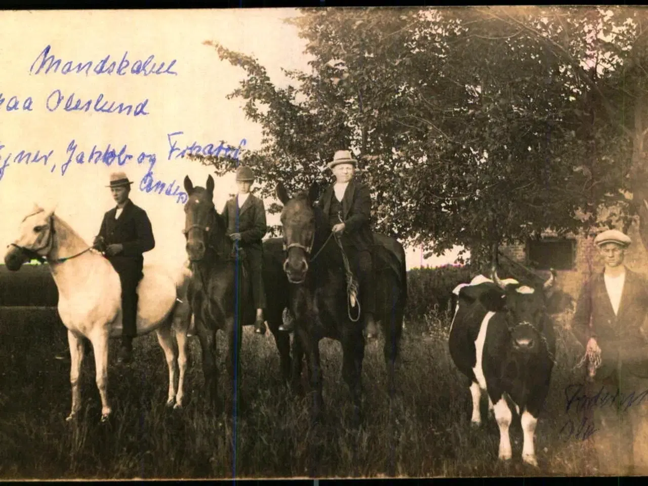 Billede 1 - Mandskabet paa Oleslund - Ejner - Jacob - Frøknen - Anders - Fotokort u/n - Ubrugt