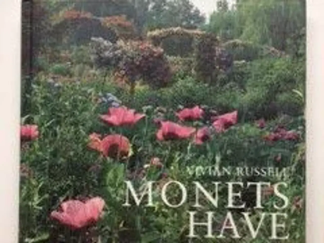 Billede 1 - Monets have