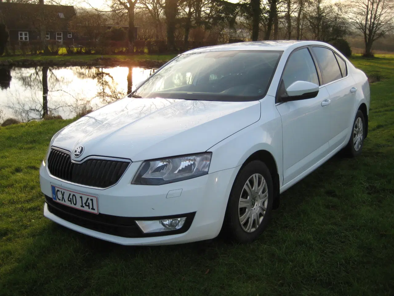 Billede 1 - Skoda octavia 1,6 tdi 2016